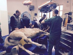 operazione da record