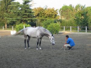 Il lavoro da terra