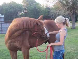 Stretching cavallo