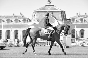 Equitazione LIVE