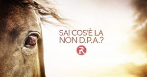 CAVALLO CHE PIANGE