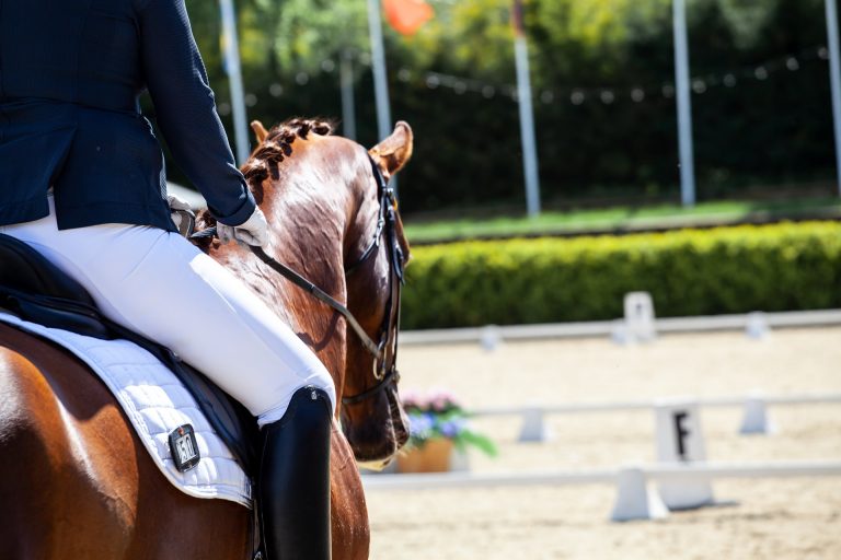 Campionati Europei, Dressage ecco la long list della Gran Bretagna